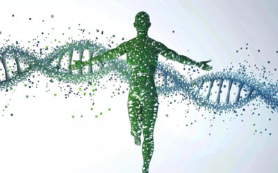 Peptides for Weight Loss: A Guide to Metabolic Health | IRBLS.org