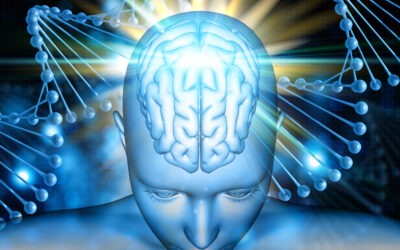 Peptides for Brain Health: Boost Memory, Focus & Cognition | IRBLS.org
