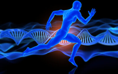 Peptides for Muscle Growth: Boost Performance & Recovery | IRBLS.org
